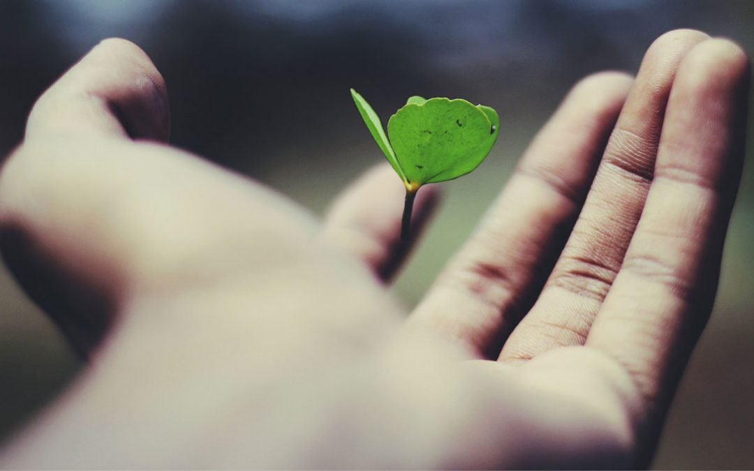 Vive con misericordia